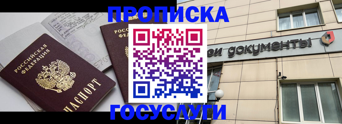 временная регистрация поиск в Щёлково